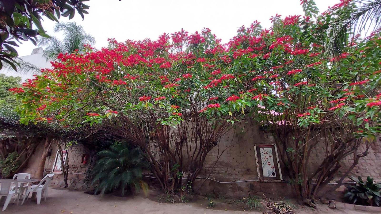 Samsara Hotel Salta Exteriör bild